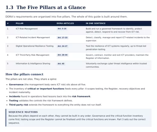 A page of the The Complete DORA Implementation Guide